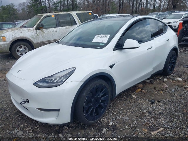 2021 TESLA MODEL Y 5YJYGDEE3MF087054 Photo 1