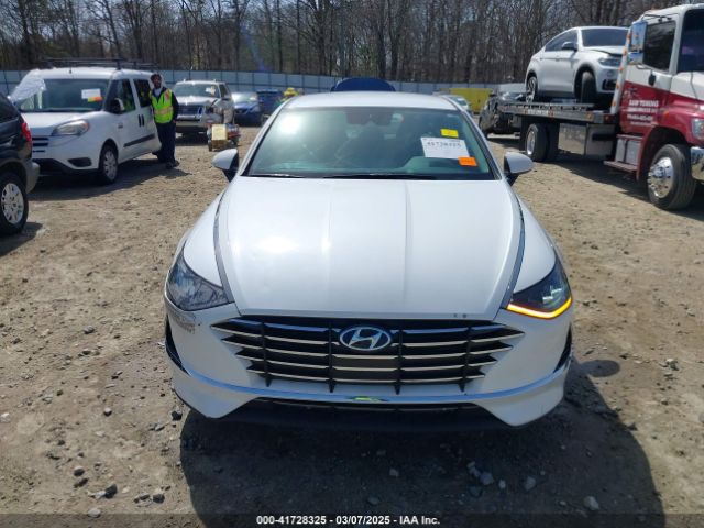 5NPEG4JA6LH056838 Hyundai SONATA SE