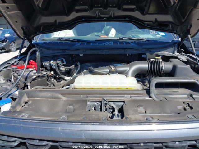 1FTEW2KP1RKE16473 Ford F-150 Stx