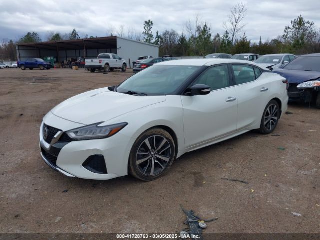 1N4AA6CV1MC504255 Nissan Maxima Sv Xtronic Cvt