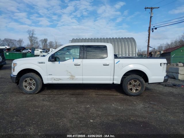 1FTEW1EP5GFC10407 Ford F-150 Xlt