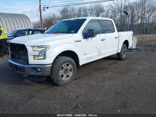 1FTEW1EP5GFC10407 Ford F-150 Xlt