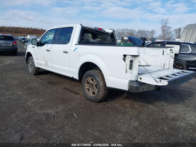 1FTEW1EP5GFC10407 Ford F-150 Xlt