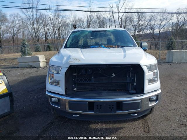 1FTEW1EP5GFC10407 Ford F-150 Xlt