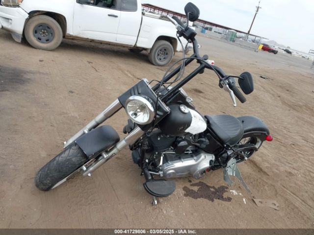 2012 HARLEY-DAVIDSON FLS 1HD1JRV27CB034606 Photo 1