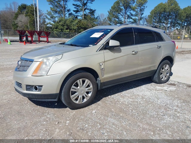2010 CADILLAC SRX 3GYFNCEY1AS637091 Photo 1