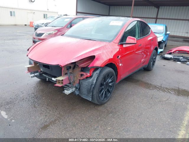 7SAYGDEEXNF568987 Tesla Model Y Long Range Dual Motor All-wheel Drive