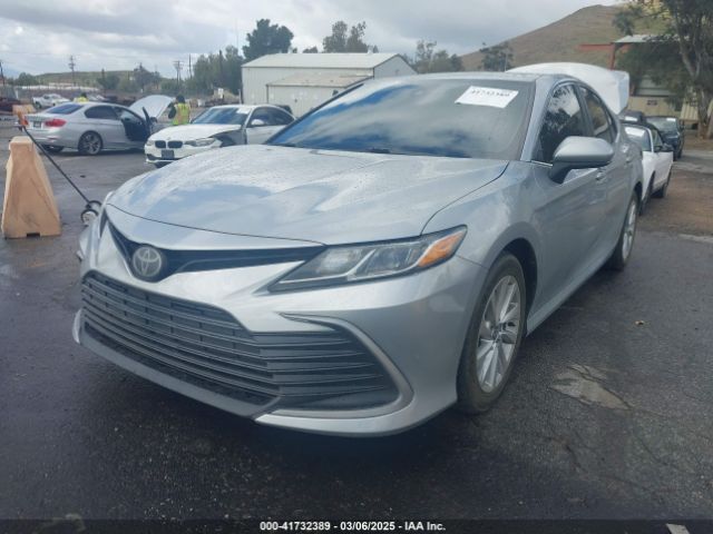 4T1C11AK9MU564420 Toyota CAMRY LE
