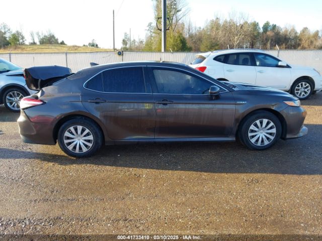 4T1B31HK4KU516123 Toyota Camry Hybrid Le