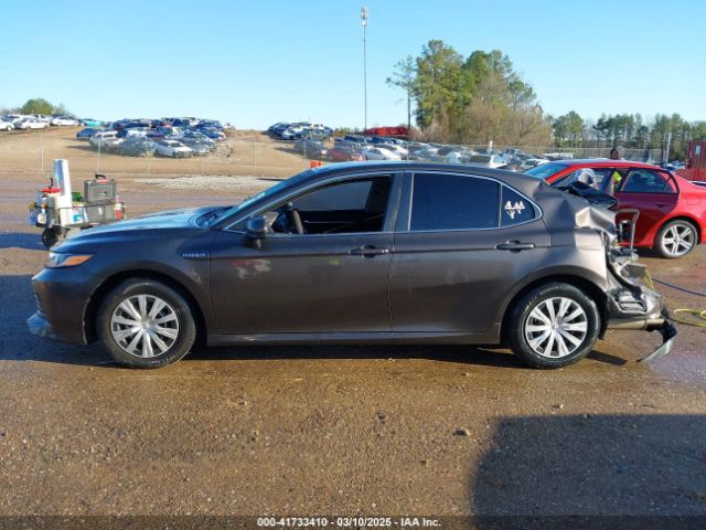 4T1B31HK4KU516123 Toyota Camry Hybrid Le