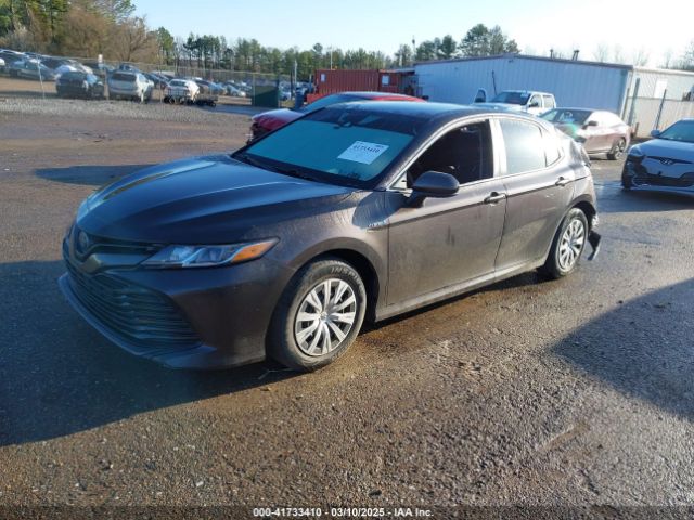 4T1B31HK4KU516123 Toyota Camry Hybrid Le
