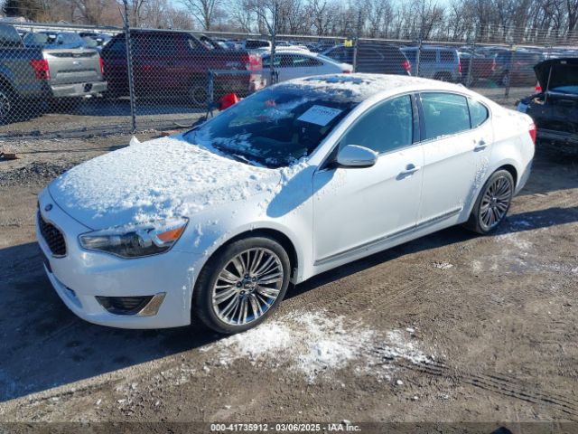 KNALN4D75E5163814 KIA Cadenza Limited