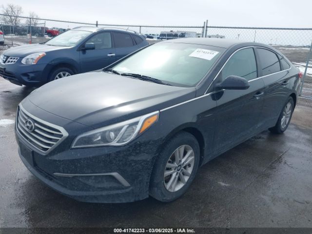5NPE24AF0HH564286 Hyundai SONATA SE
