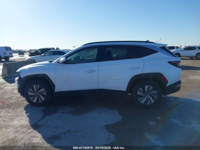 KM8JBCA13NU020844 Hyundai Tucson Hybrid Blue