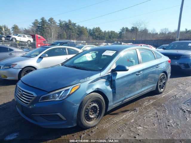 5NPE24AF8HH500464 Hyundai Sonata
