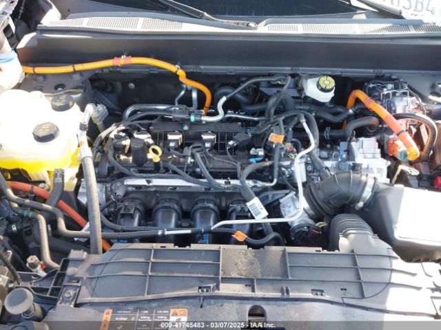 3FTTW8H36RRB58588 Ford Maverick Xlt