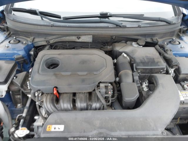5NPE24AF7GH316261 Hyundai SONATA SE
