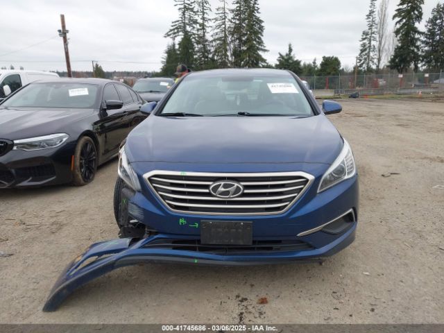 5NPE24AF7GH316261 Hyundai SONATA SE