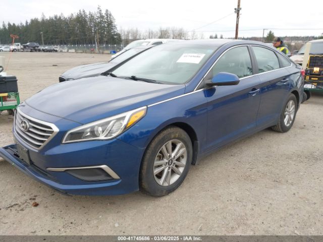 5NPE24AF7GH316261 Hyundai SONATA SE