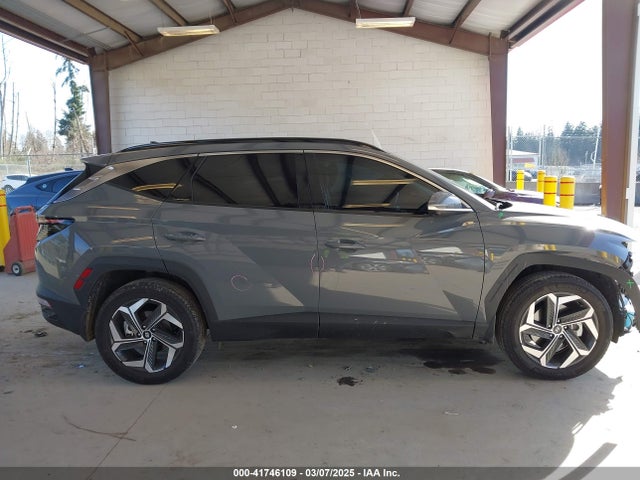 Hyundai Tucson Limited 2024 5NMJECDE3RH368196 Image 14