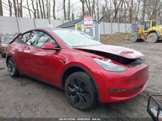 2025 TESLA MODEL Y 7SAYGDED2SF227117
