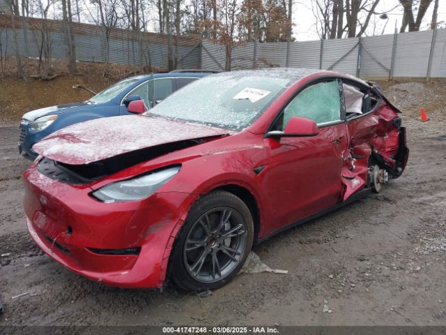 2025 TESLA MODEL Y 7SAYGDED2SF227117 Photo 1