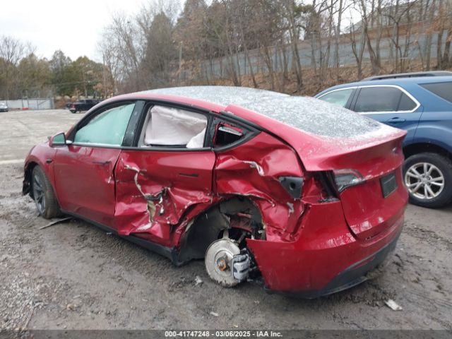 2025 TESLA MODEL Y 7SAYGDED2SF227117 Photo 2