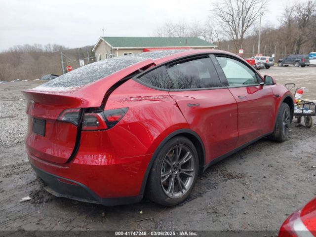 2025 TESLA MODEL Y 7SAYGDED2SF227117 Photo 3