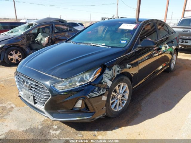 5NPE24AF4KH788295 Hyundai SONATA SE