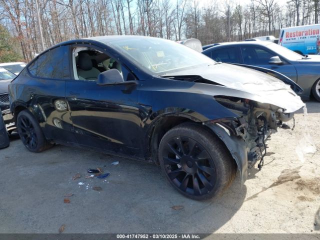 2021 TESLA MODEL Y 5YJYGDEEXMF208923 Photo 0