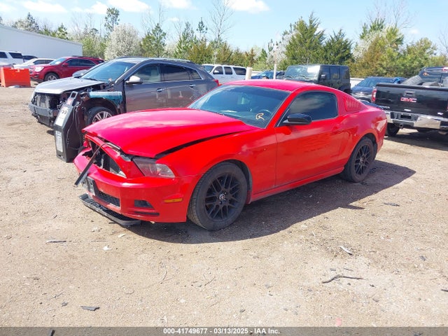 1ZVBP8AM0E5309866 Ford Mustang V6