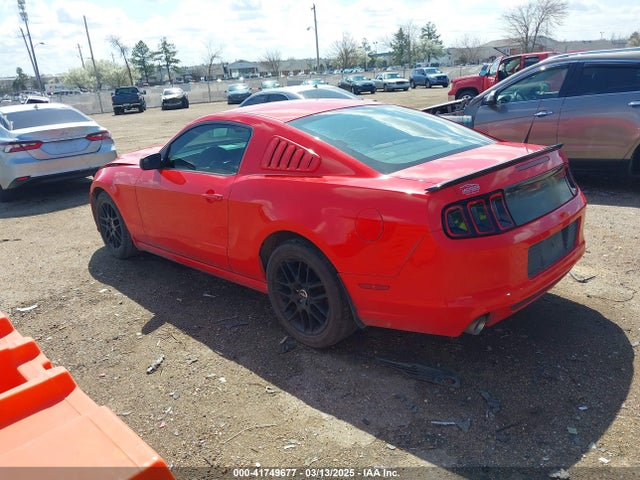 1ZVBP8AM0E5309866 Ford Mustang V6