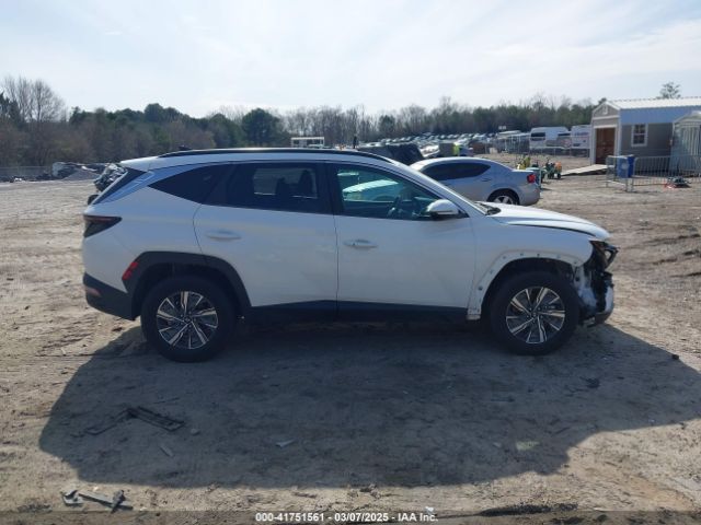 KM8JBCA15NU018979 Hyundai Tucson Hybrid Blue