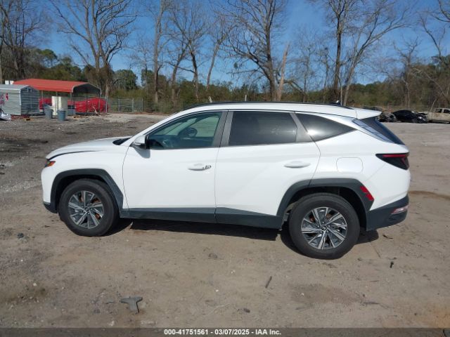 KM8JBCA15NU018979 Hyundai Tucson Hybrid Blue
