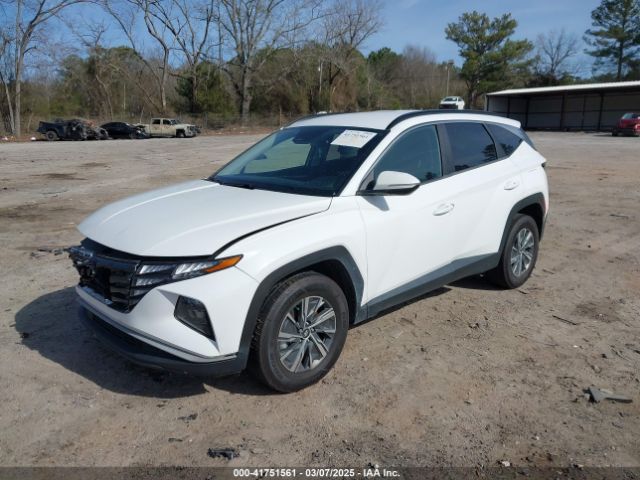 KM8JBCA15NU018979 Hyundai Tucson Hybrid Blue
