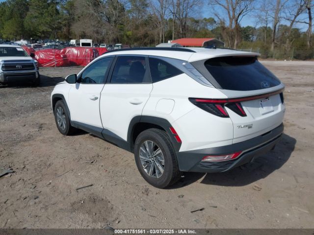 KM8JBCA15NU018979 Hyundai Tucson Hybrid Blue