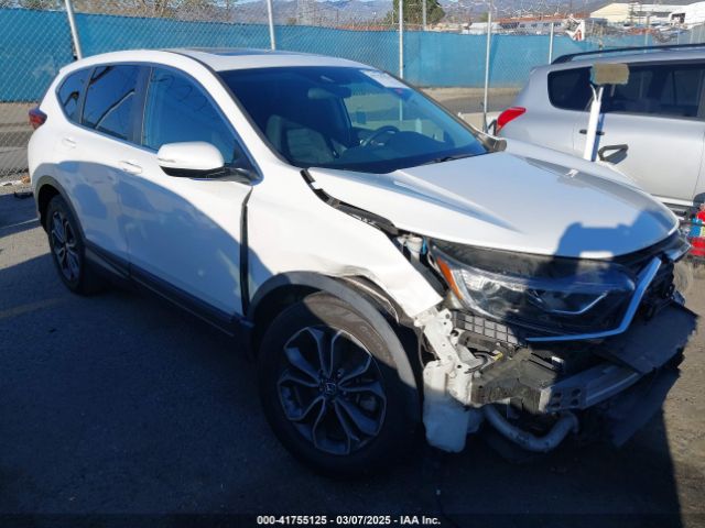 2020 HONDA CR-V 5J6RW1H59LA014497