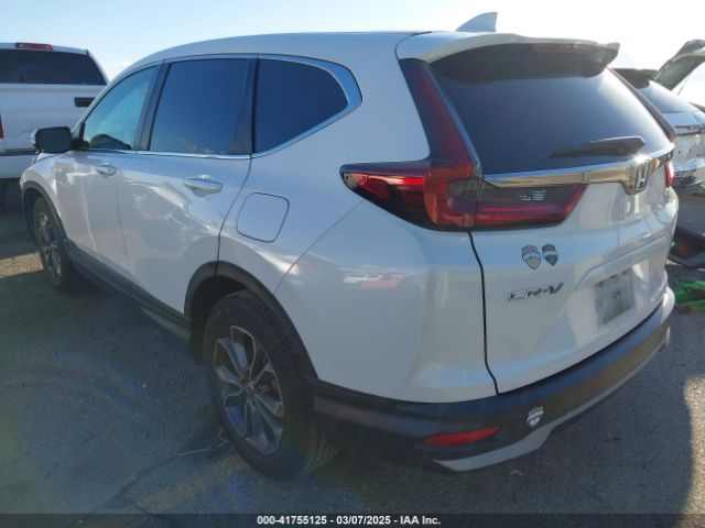 2020 HONDA CR-V 5J6RW1H59LA014497 Photo 2