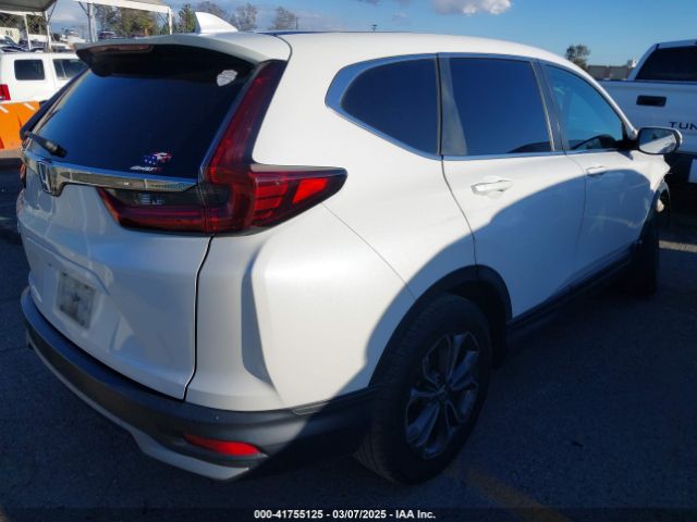 2020 HONDA CR-V 5J6RW1H59LA014497 Photo 3