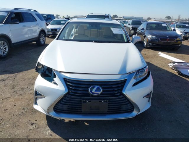 JTHBW1GG1J2168184 Lexus ES 300H