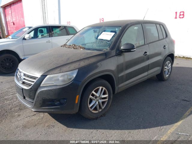 2011 VOLKSWAGEN TIGUAN WVGBV7AX7BW549852 Photo 1