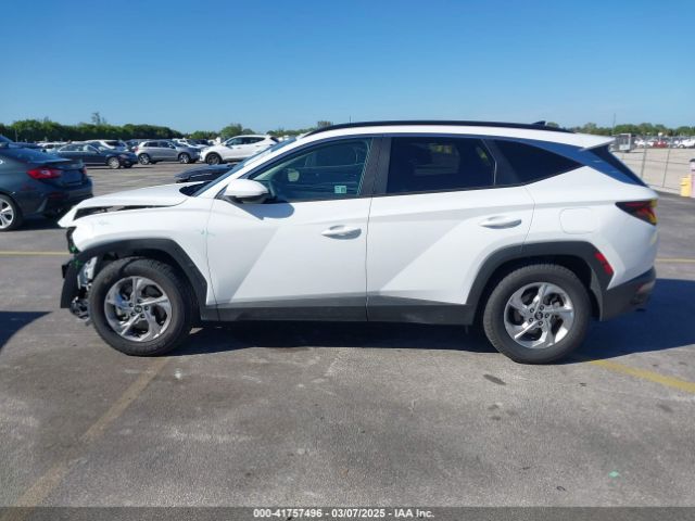 5NMJB3DE6RH362482 Hyundai TUCSON SEL