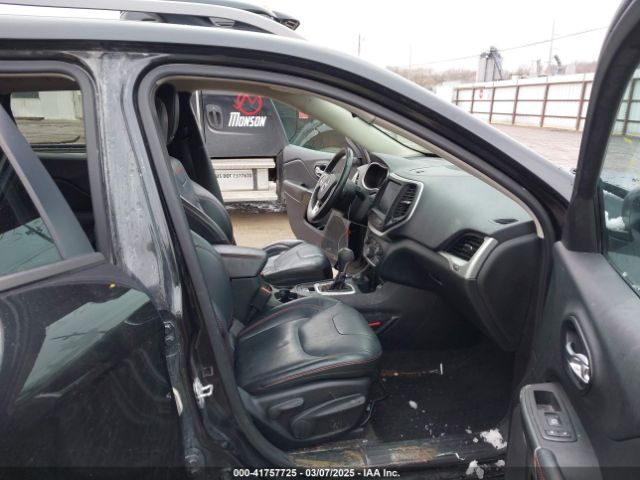 1C4PJMBS6GW113069 Jeep Cherokee Trailhawk