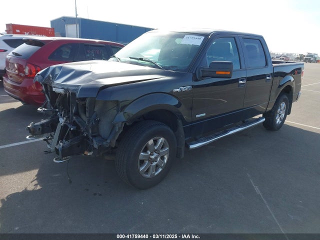 1FTFW1ET6EFB50782 Ford F-150 Xlt