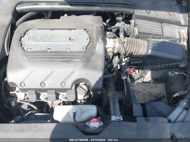 2006 ACURA TL 19UUA66296A063404 Photo 9