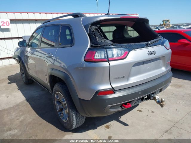1C4PJMBX0MD231122 Jeep Cherokee Trailhawk 4x4
