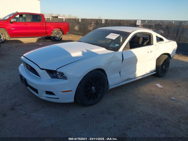 1ZVBP8AM2E5327057 Ford Mustang V6