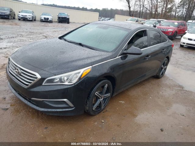 5NPE24AF4HH552349 Hyundai SONATA SE