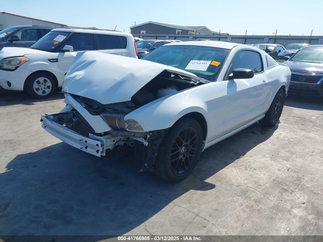 1ZVBP8AM9E5303807 Ford Mustang V6