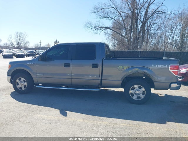 41767116 :رقم المزاد ، 1FTFW1ET8DFB54895 vin ، 2013 Ford F-150 Xlt مزاد بيع